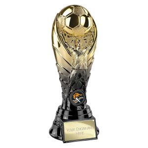 A THE WINNING GOAL AWARD